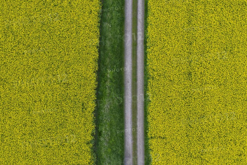 Aerial view over farmland with dirt road