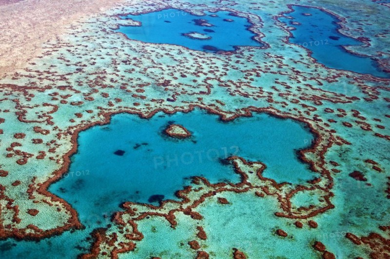 Aerial view of heart-shaped Heart Reef