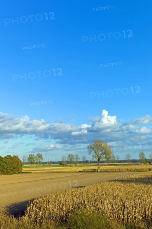 Autumn atmosphere in the dyke foreland