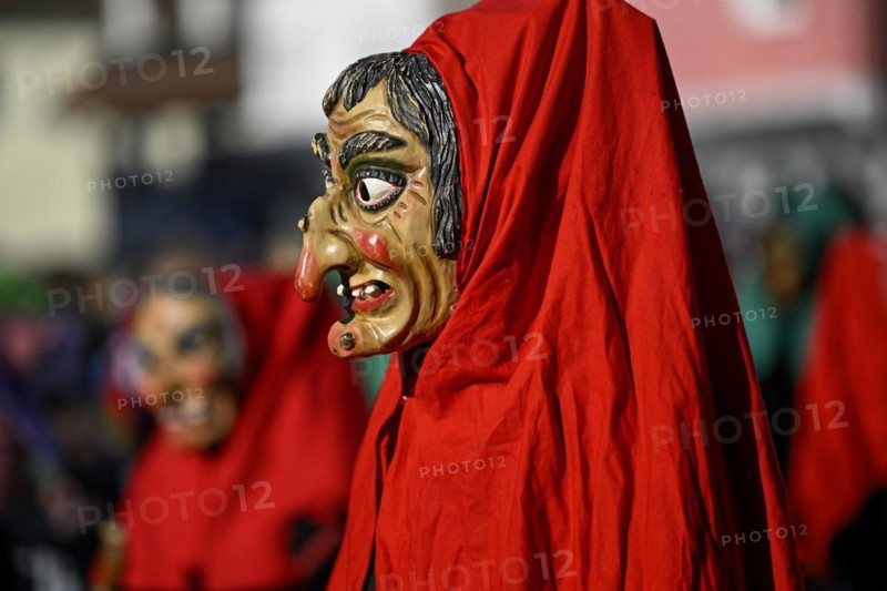 Fools Guild from Horb am Neckar at the Great Carnival Parade
