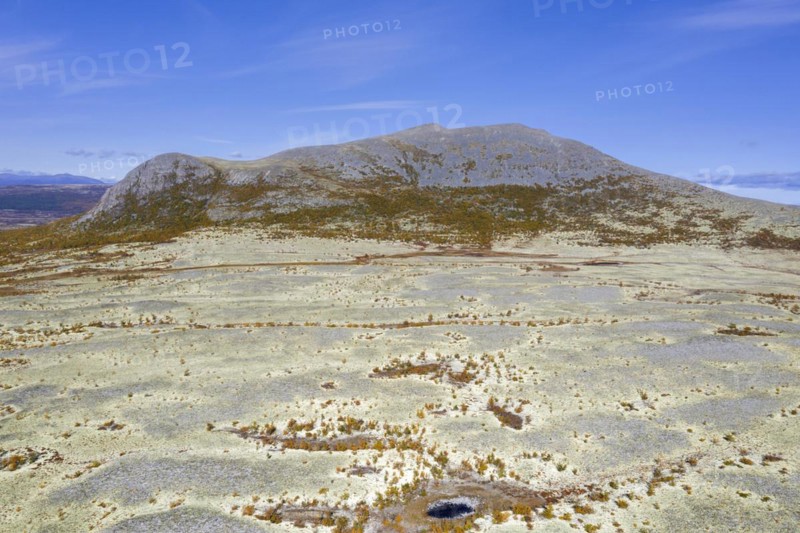 Aerial view over the Norwegian tundra covered in reindeer lichen