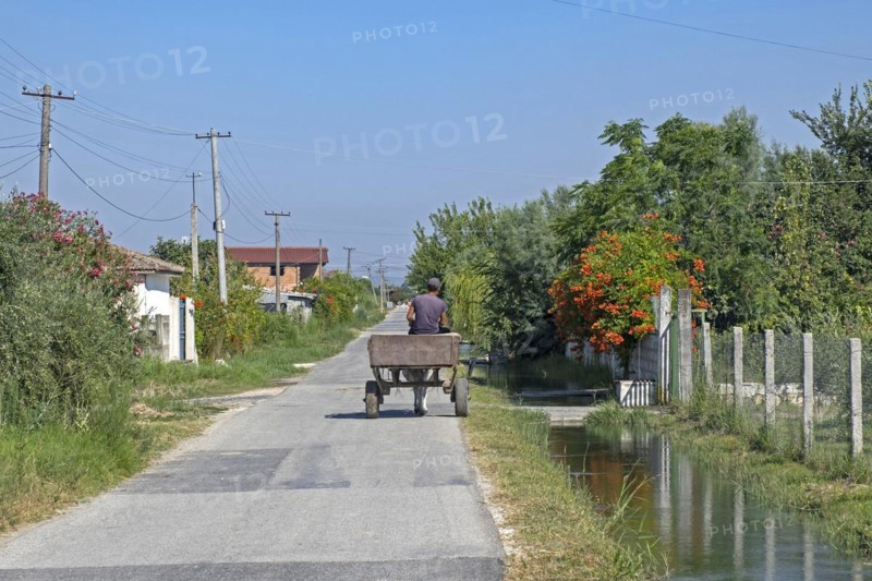 Albanian man riding cart pulled by donkey in rural village in northern Albania in summer