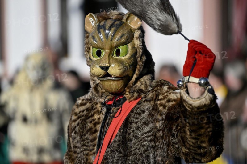 Miau guild from Freiburg at the big carnival procession
