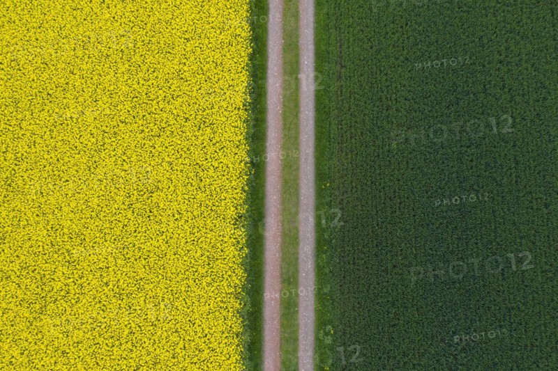 Aerial view over farmland with dirt road