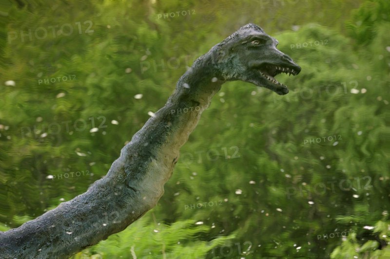 Reflection in pond of Nessie