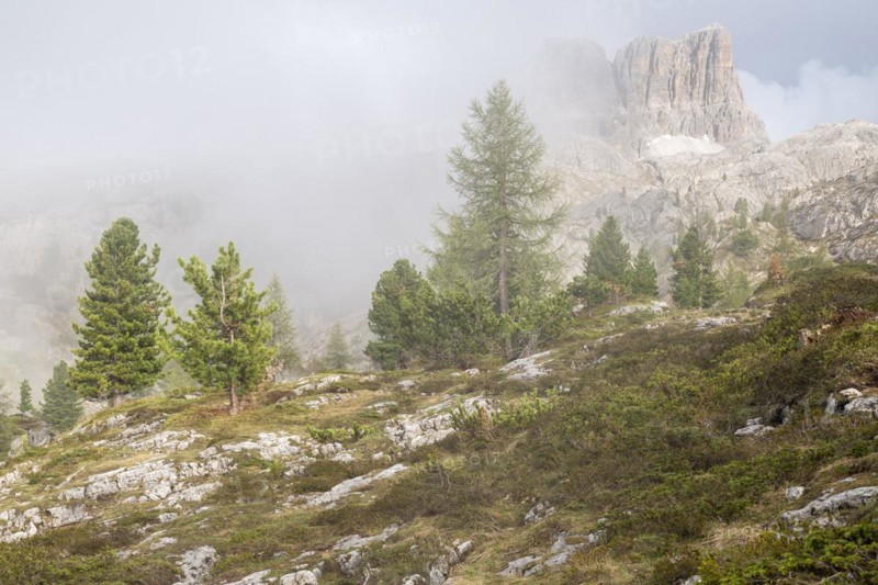 Passo di Falzarego in the fog