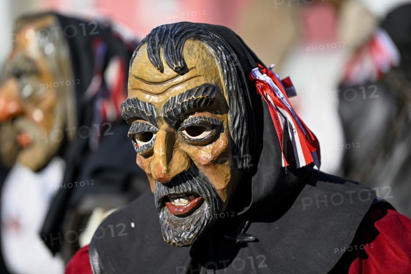 Fools Guild from Horb am Neckar at the Great Carnival Parade