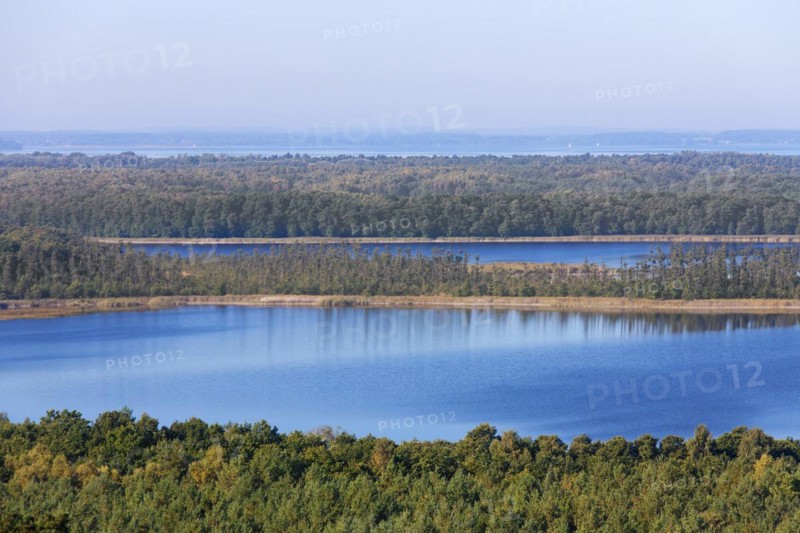 View over Priesterbaeker See