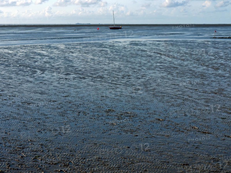 In the mudflats