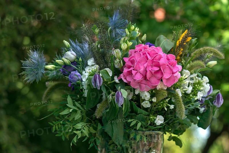 Colourful bouquet of flowers