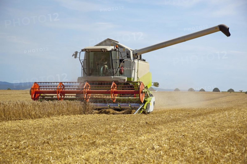 Combine harvester in harvesting operation