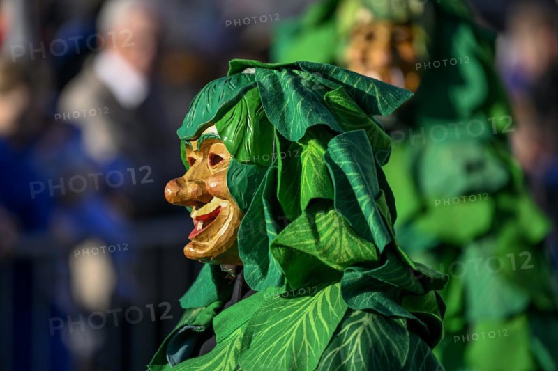 Narrenzunft Krutblaettsche from Kehl-Goldscheuer at the Great Carnival Parade