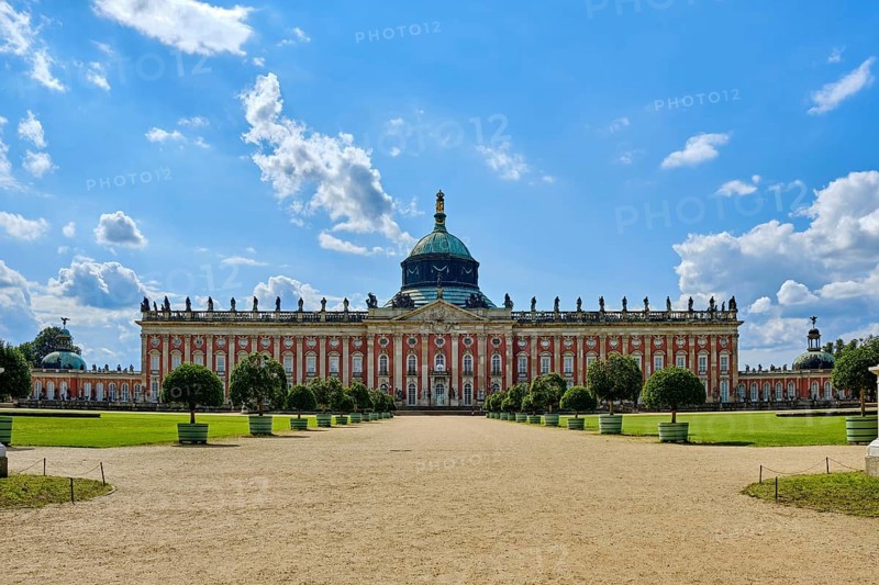The New Palace
