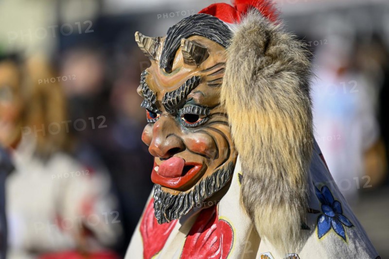 Fools Guild from Horb am Neckar at the Great Carnival Parade