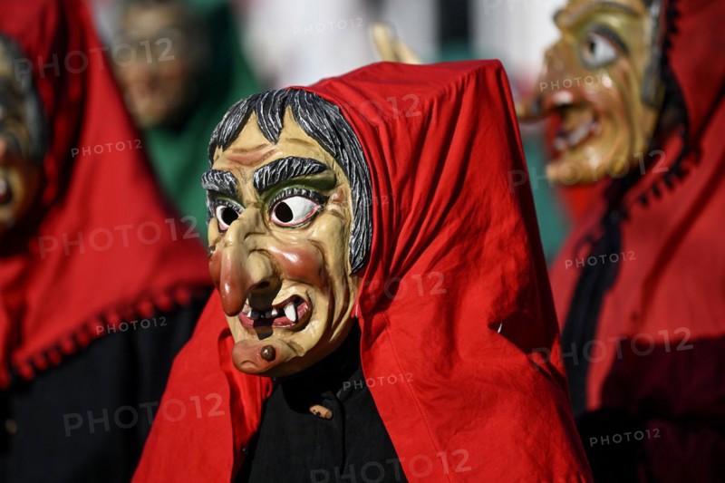 Fools Guild from Horb am Neckar at the Great Carnival Parade