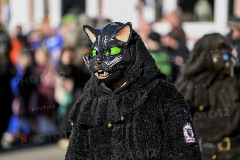 Narrenzunft Almenkutz vom St. Wendel from Oberkirch-Bottenau at the Great Carnival Parade