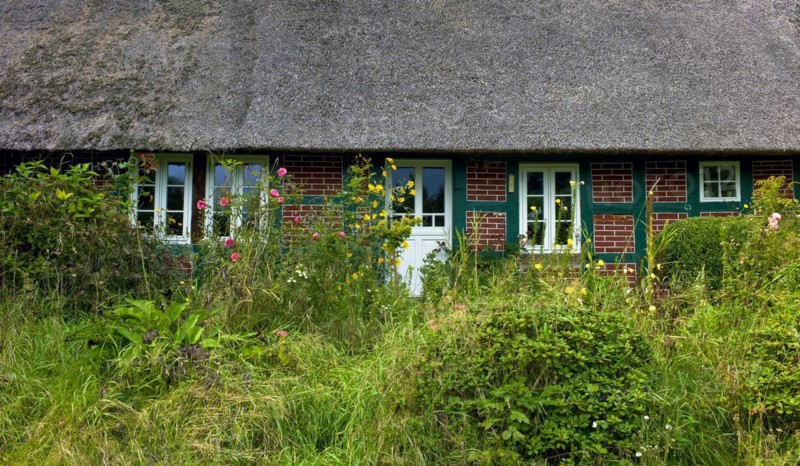 Unmaintained front garden of a Lower Saxony farmhouse