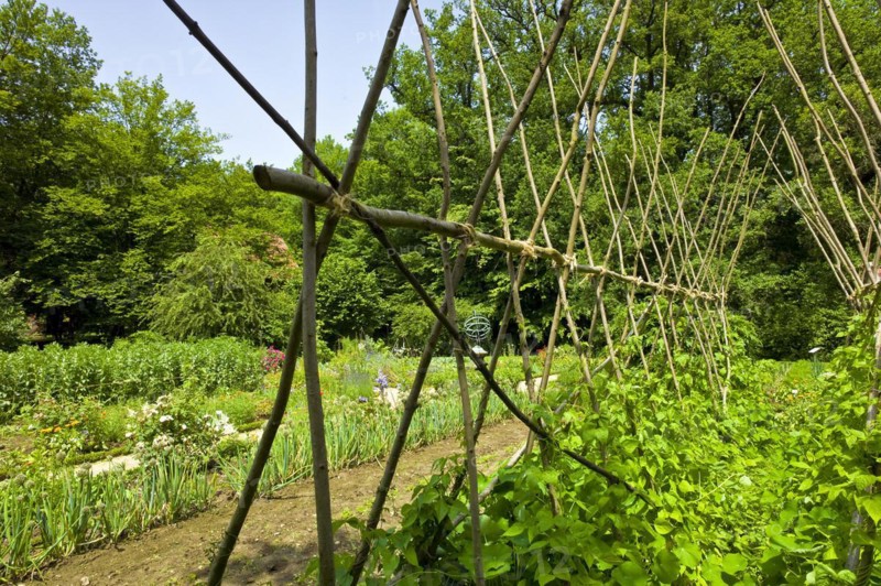 Farm garden