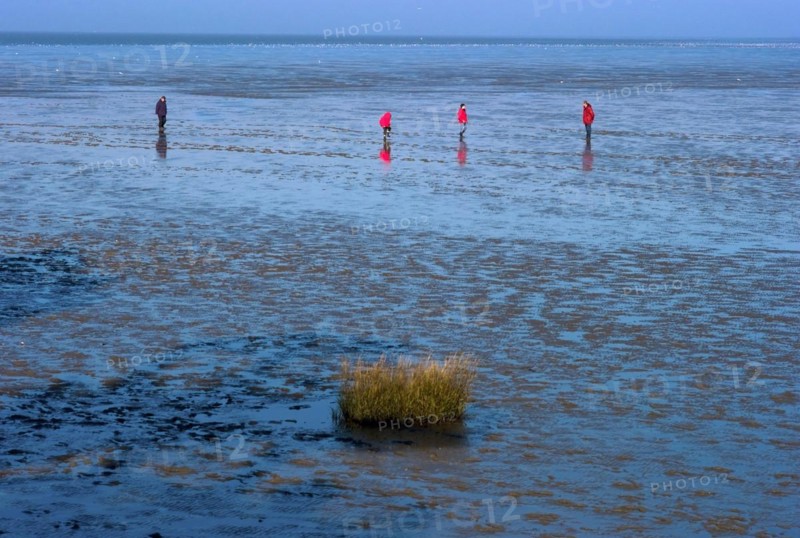 People in the Wadden Sea near Dorum Neufeld in the district of Cuxhaven