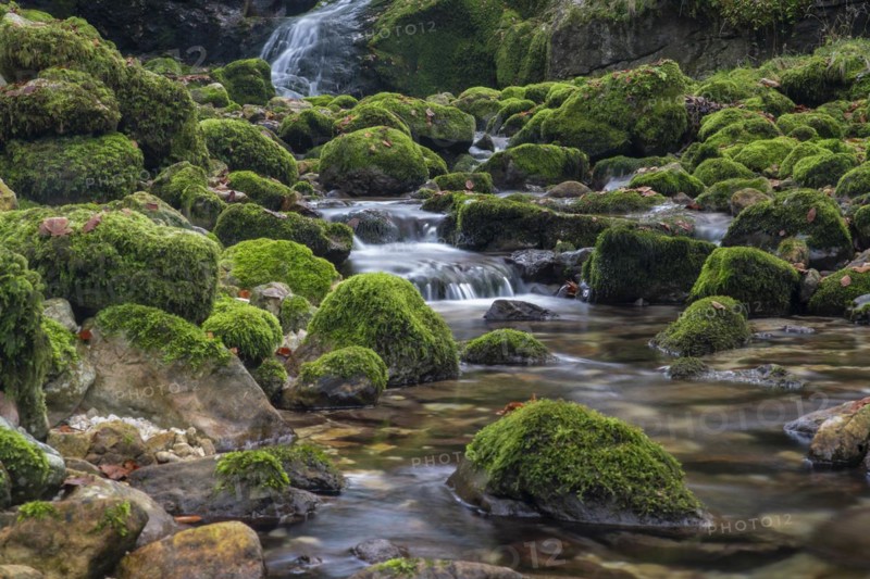 Mossy mountain stream in UNESCO World Natural Heritage Duernstein