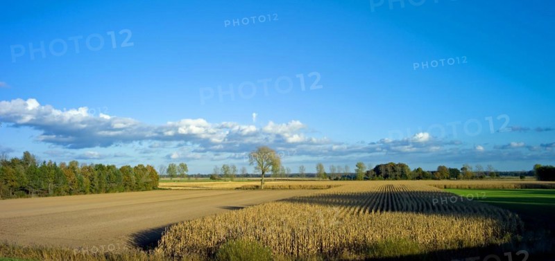 Autumn atmosphere in the dyke foreland