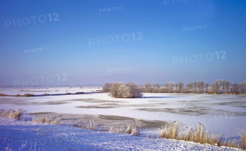 Winter dyke foreland near Neuenkirchen