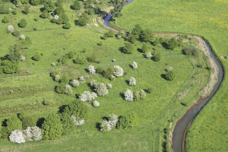 Aerial view over rural landscape with flowering hawthorn