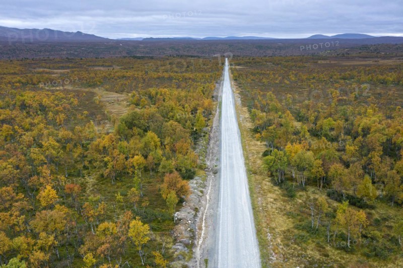 Aerial view over empty desolate road running through the taiga in autumn