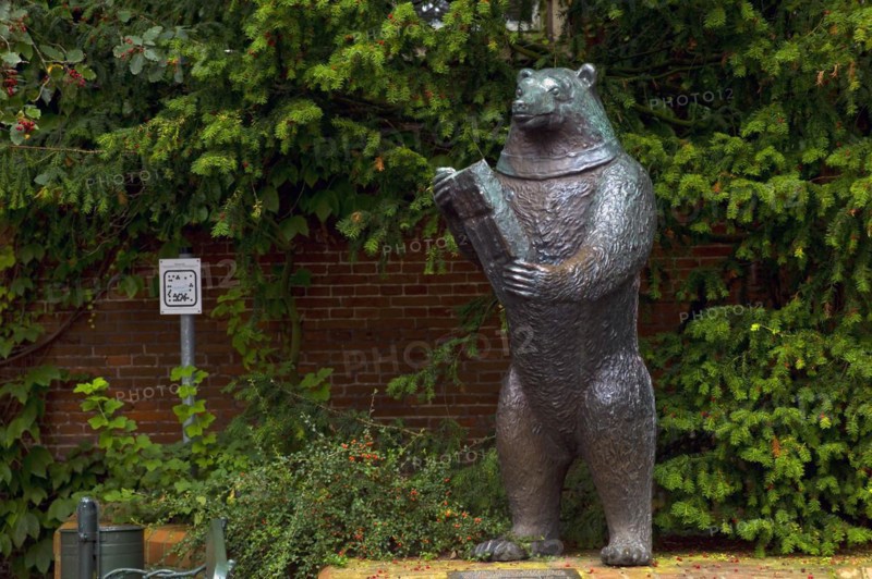 The bear