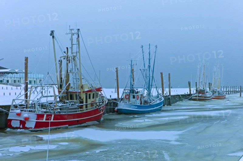 Flooded cutter harbour of Dorum Neufeld