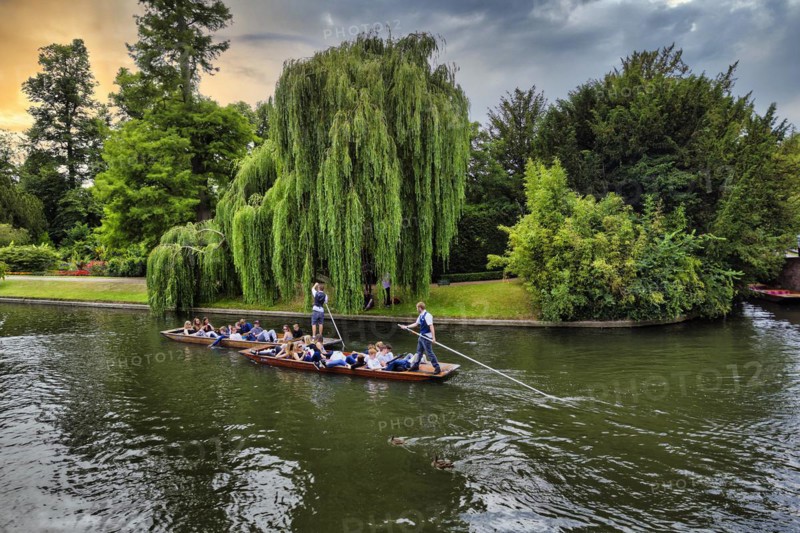 Punting