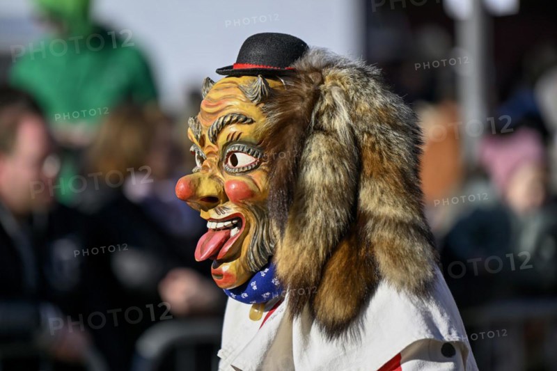 Fools Guild from Horb am Neckar at the Great Carnival Parade