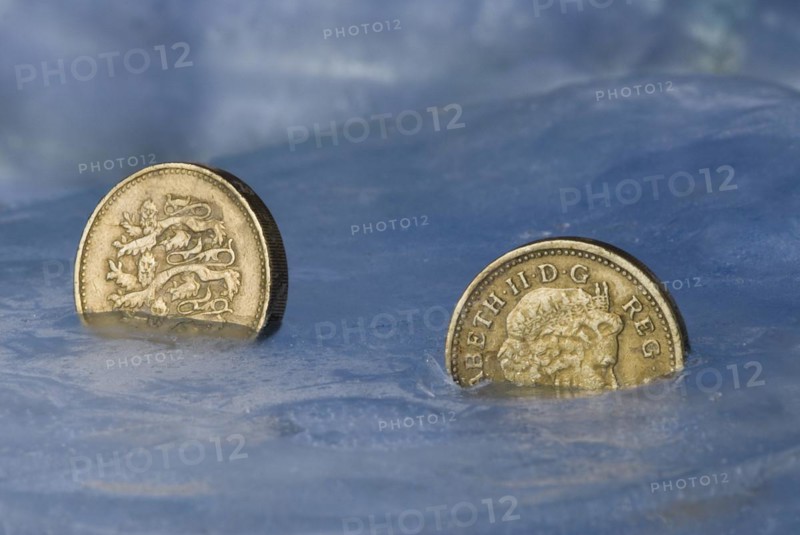 Frozen pound