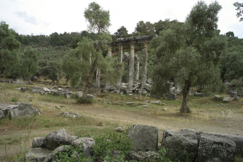 Temple of Zeus