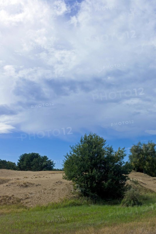 Altwarp Mecklenburg-Western Pomerania County Western Pomerania Greifswald Altwarp Inland Dunes Germany Europe