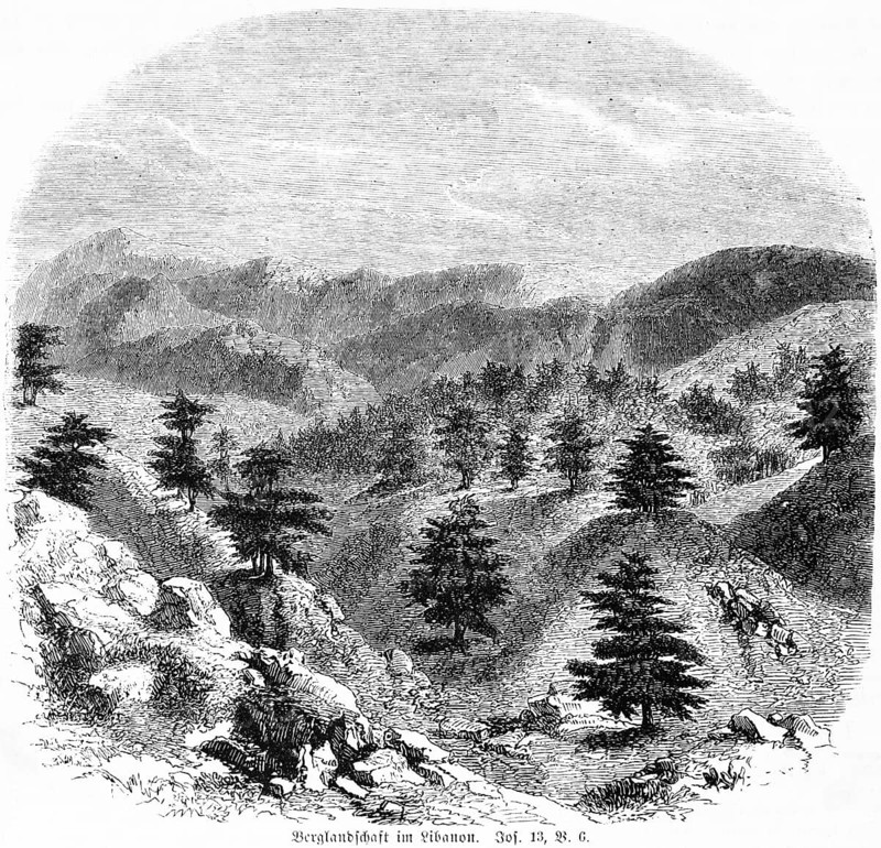 Mountain landscape in Lebanon
