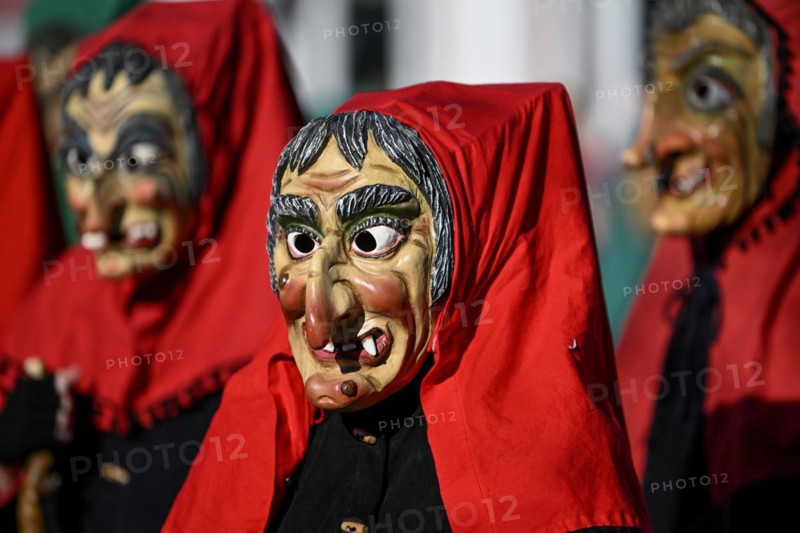 Fools Guild from Horb am Neckar at the Great Carnival Parade