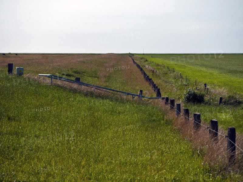 Land reclamation near Dorum
