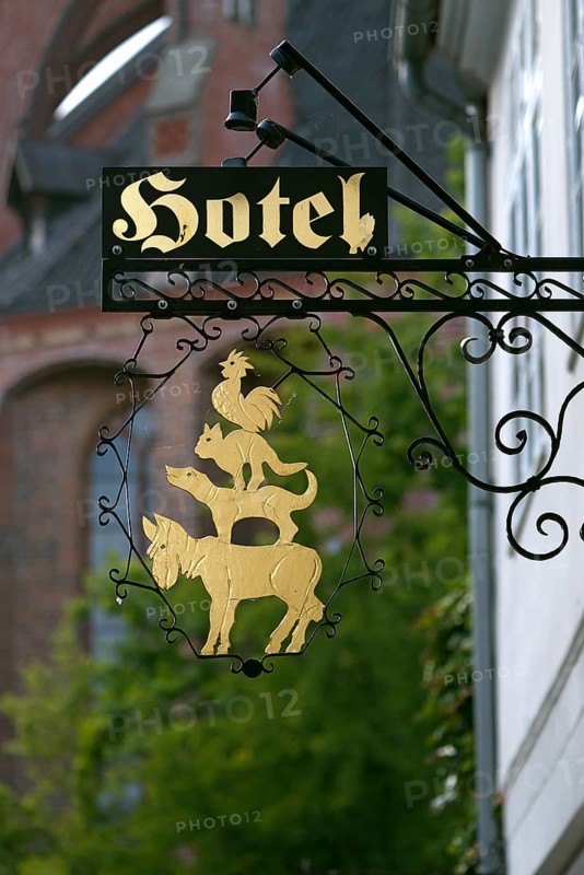 The Bremen Town Musicians