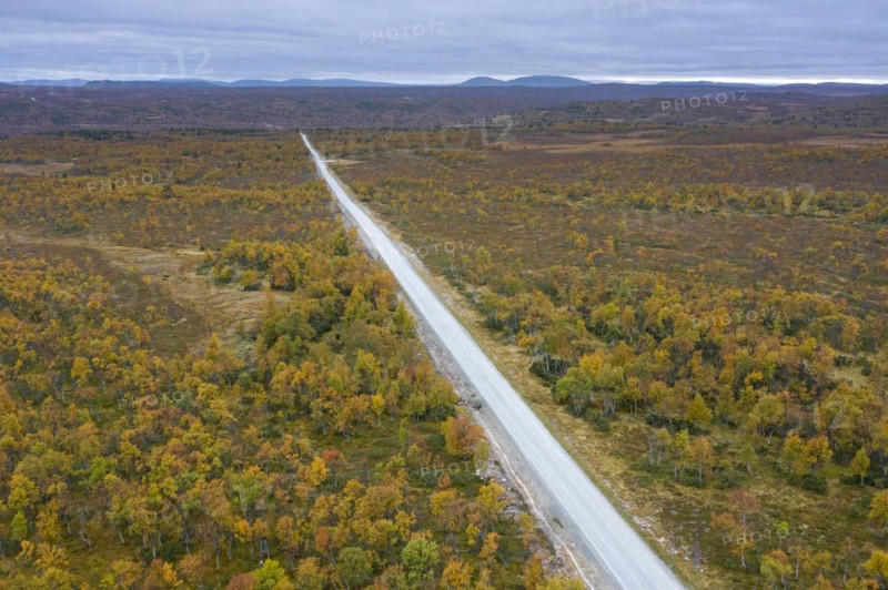 Aerial view over empty desolate road running through the taiga in autumn