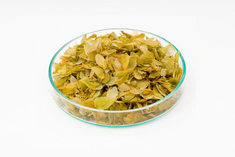 Hop blossom tea