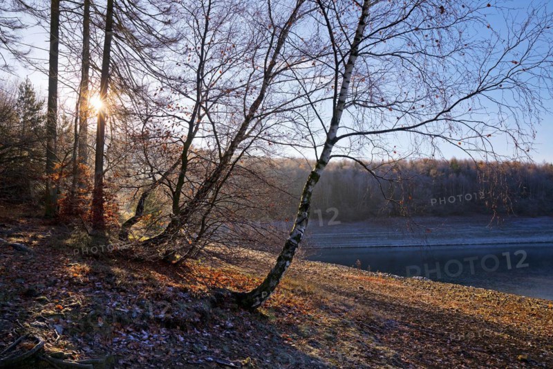 Sorpesee in autumn