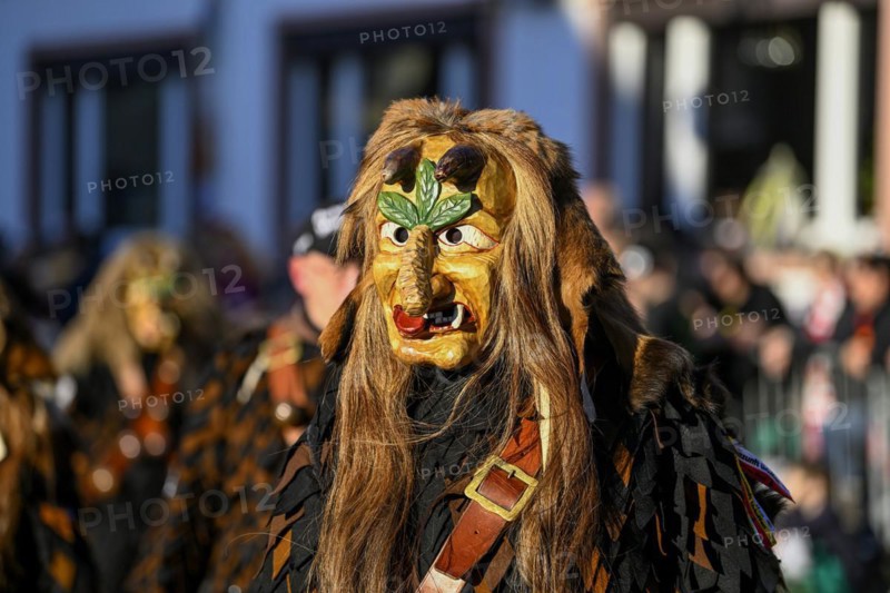 Fools Guild Meerettichdaemone from Urloffen at the Great Carnival Parade