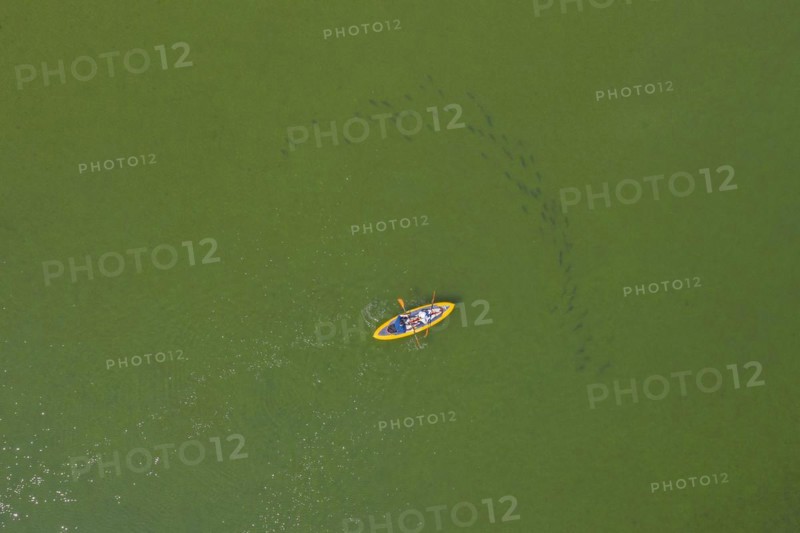Aerial view over sit-on-top kayak paddling behind shoal of large fish in lake Ratzeburger