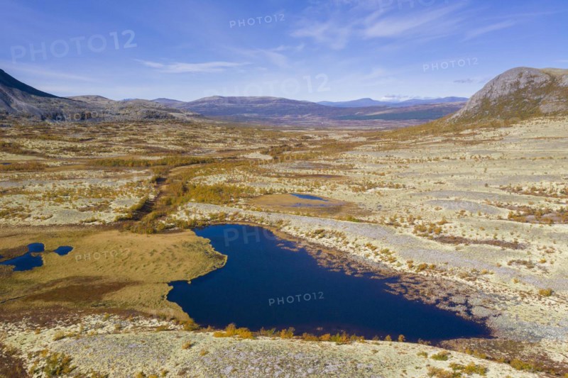 Aerial view over pond and the Norwegian tundra covered in reindeer lichen