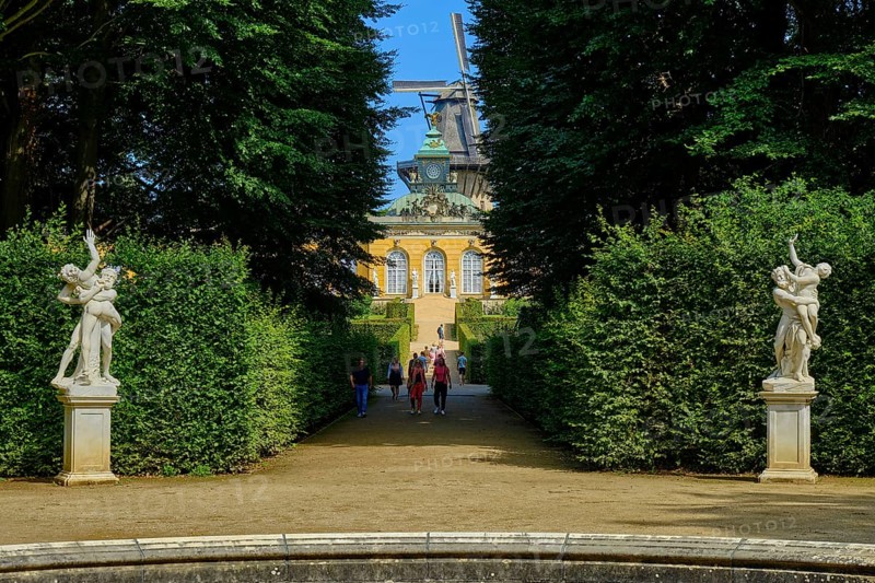 Avenue of trees with visual axis to the north from the main avenue to the New Chambers with the windmill in the background