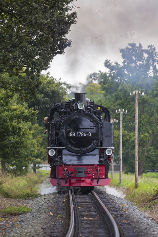 Rasender Roland steam locomotive 99 1784 on the Ruegen narrow-gauge railway