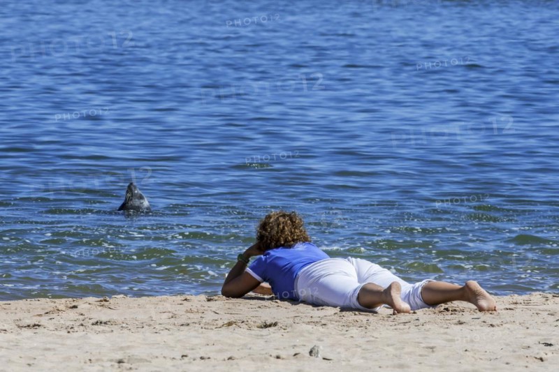 Woman lying on her belly on the beach watching grey seal bottling