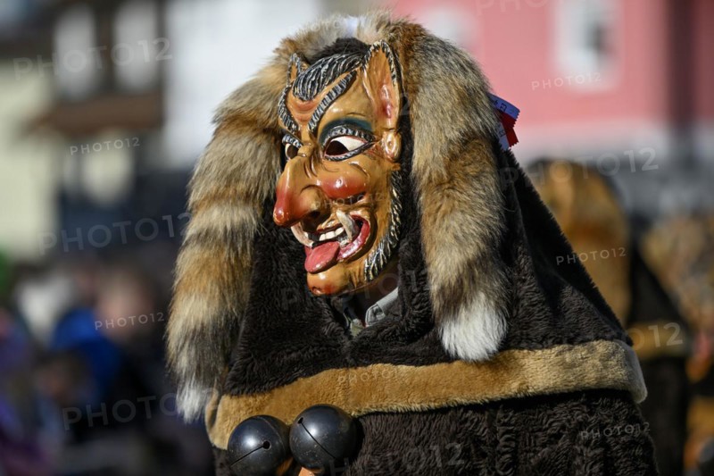 Fools Guild from Horb am Neckar at the Great Carnival Parade