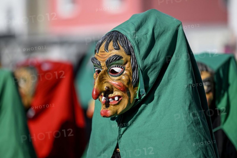 Fools Guild from Horb am Neckar at the Great Carnival Parade